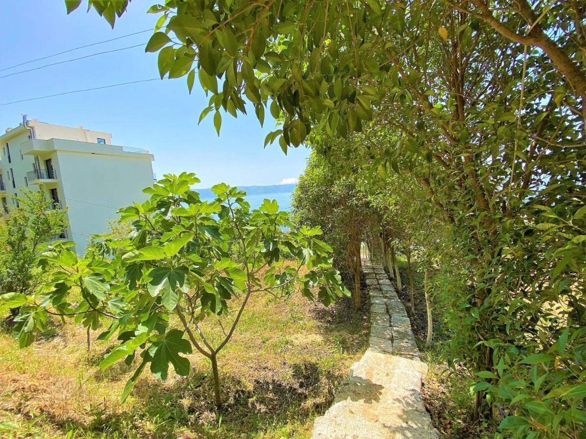 Ramo'S Cozy Beachside Haven With Panoramic Views - 2Nd Vlorë Exterior foto